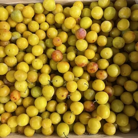 Prune Mirabelle 500g-