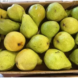 Poires Guyot 3kg