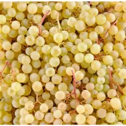 Raisin Exalta sans pépins