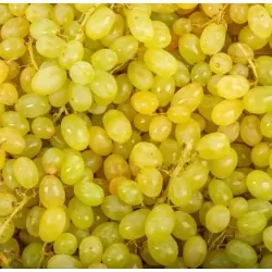 Raisin Centennial sans pépins