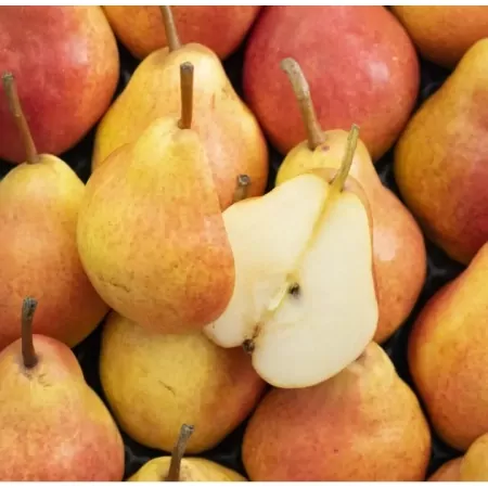 Poire William rouge-