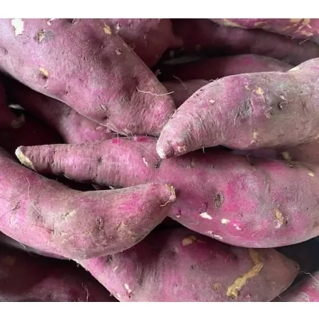 Patate douce chair Blanche-