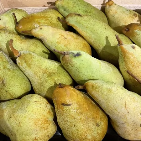 Poire Alexandrine-