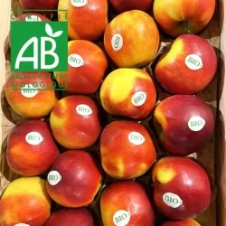 Pomme BIO Pixie