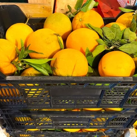 Oranges 8kg-