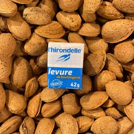Levure fraîche cube 42g-