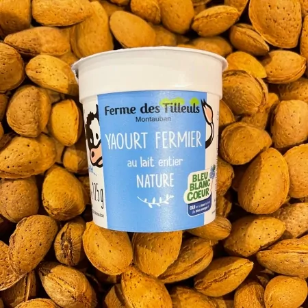 Yaourt nature FDT 4x125g-