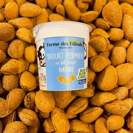 Yaourt nature sucré FDT 4x125g-