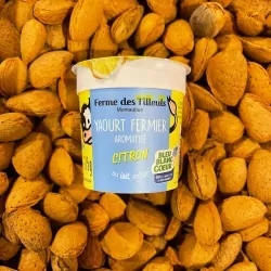Yaourt citron FDT 4x125g