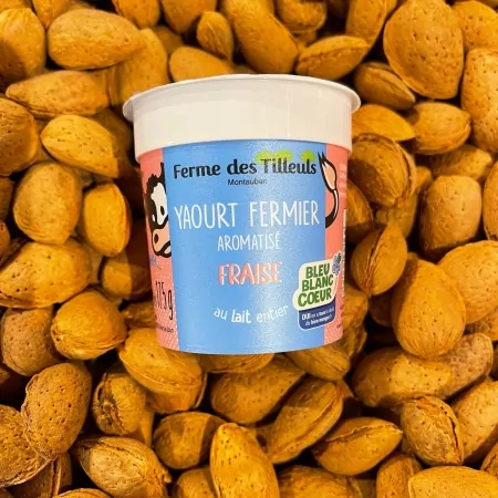 Yaourt fraise FDT 4x125g-