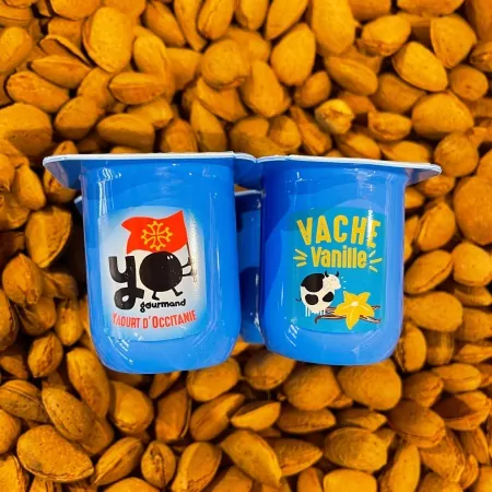 Yaourt vanille YOgourmand 4x115g-