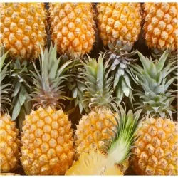 Ananas Victoria