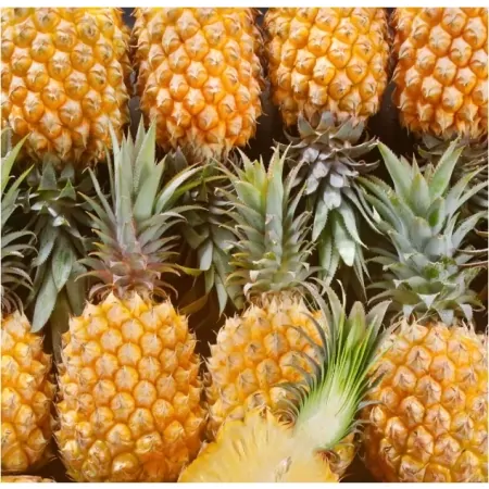 Ananas Victoria-