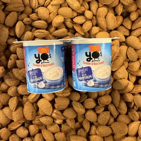 Yaourts brassés à la Grecque 4x125g-