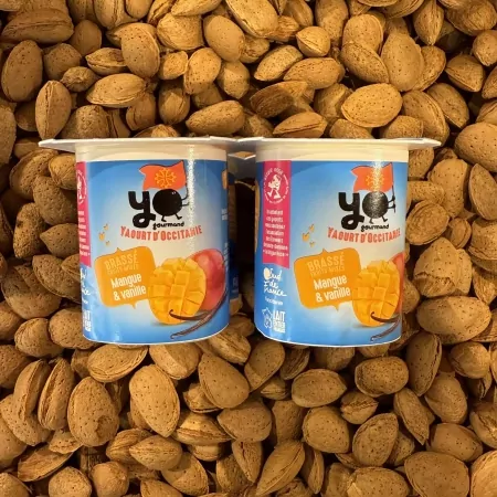 Yaourts brassés Mangue/Vanille 4x125g-