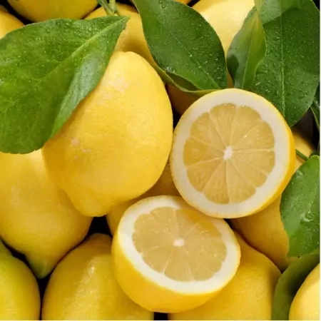 Citron Jaune Corse-