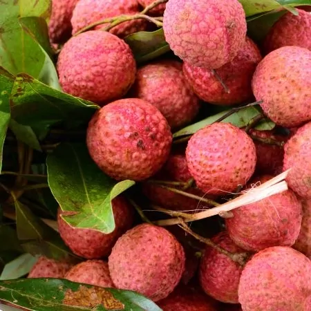 Litchis 200g-