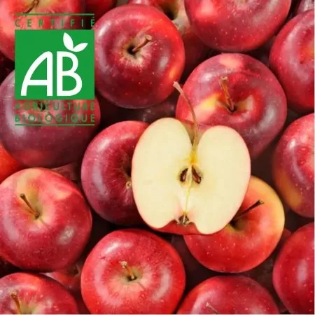 Pomme BIO Lolipop®-