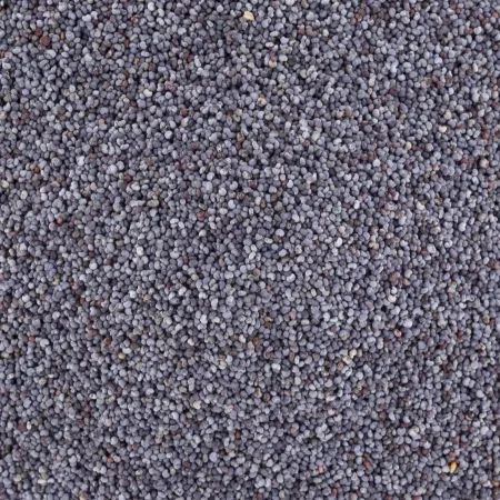 Graine de pavot bleu 500g-