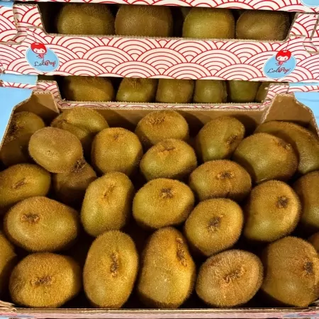 Kiwi vert 3kg cat.2-