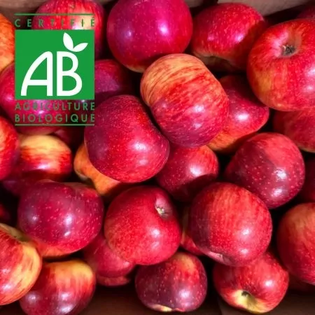 Pomme BIO Juliet® 1.5kg-