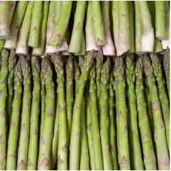 Asperge verte fine 500g