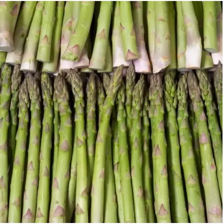 Asperge verte fine 500g-
