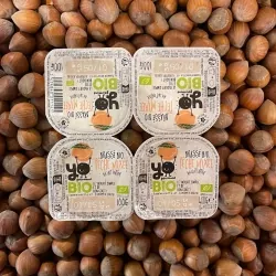 Yaourt brassé BIO pêche mixée 4x100g