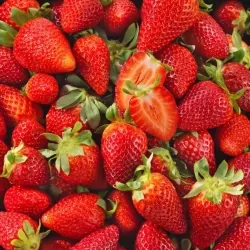 Fraise Cléry cat.1 500g