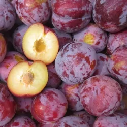 Prune Grenadine