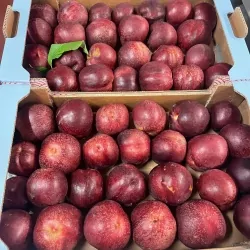 Nectarine de Vigne 3kg