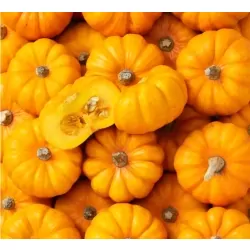 Courge Jack be Little