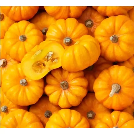 Courge Jack be Little-