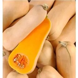 Butternut