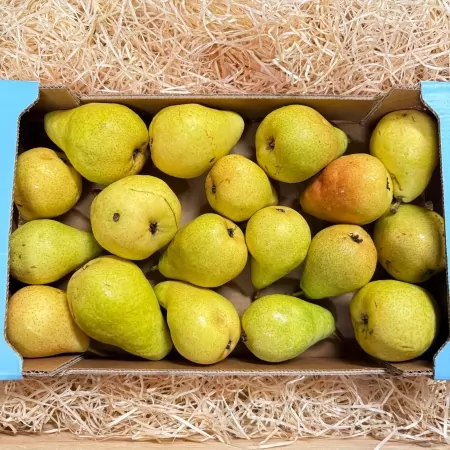 Poires Guyot 3kg-