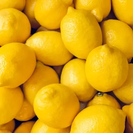 Citron Jaune -