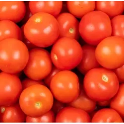 Tomate ronde