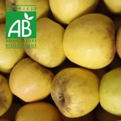 Pomme BIO Lory®