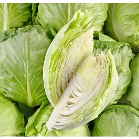 Chou blanc-