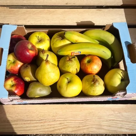 Panier de fruits-