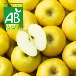 Pomme BIO Chantecler