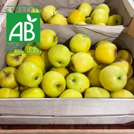 Pommes BIO Lory 13kg-