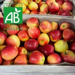 Pommes BIO Lolipop® 13kg