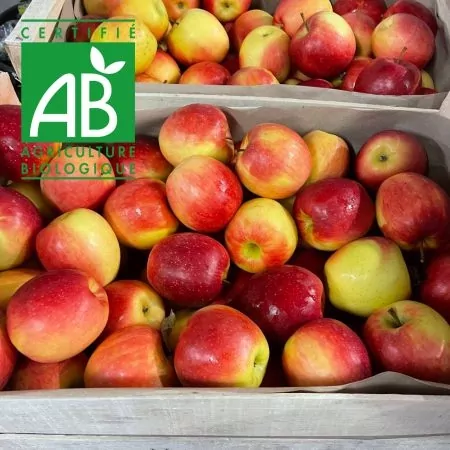 Pommes BIO Lolipop® 13kg-