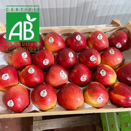 Pommes BIO Lolipop® 4kg -