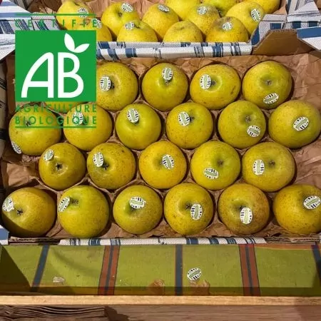 Pommes BIO Chantecler 4.3kg-