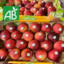 Pommes BIO Délys 4kg