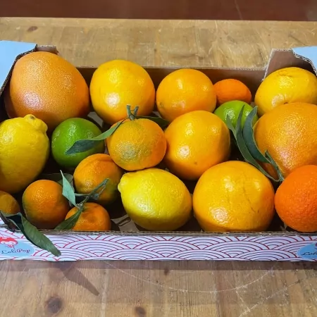 Panier 100% Agrumes-