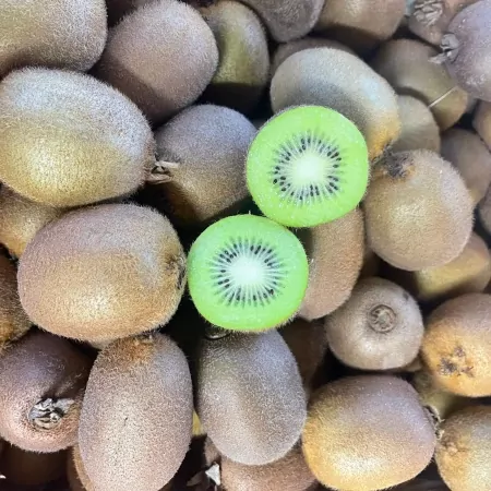 Kiwi vert cat.1-