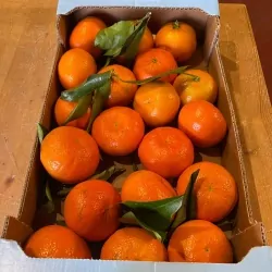 Clémentines feuilles 2.5kg